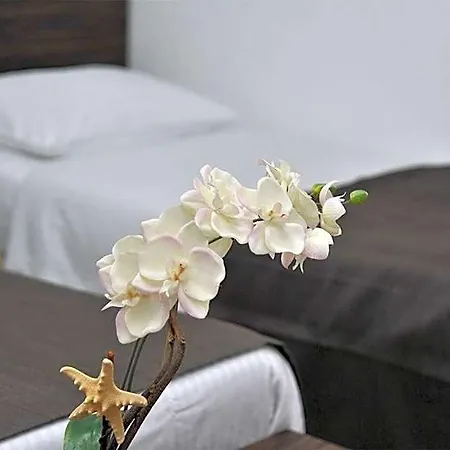 Hotel Branco